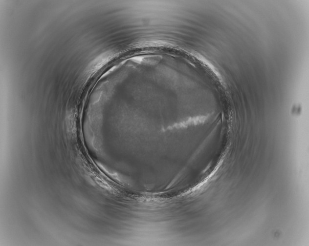 X0000094810921200711301548