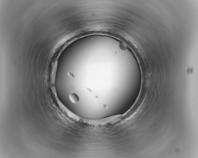 X0000094810922200711301548