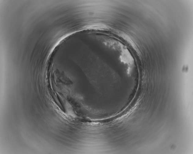 X0000094810923200711301548