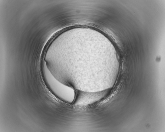 X0000094810924200711301548