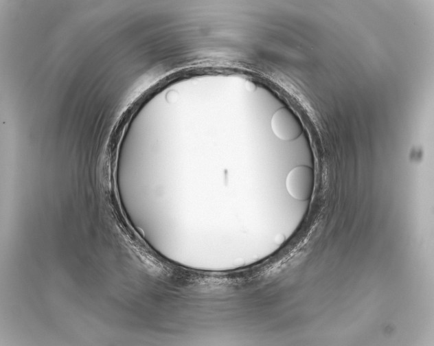 X0000094810925200711301548