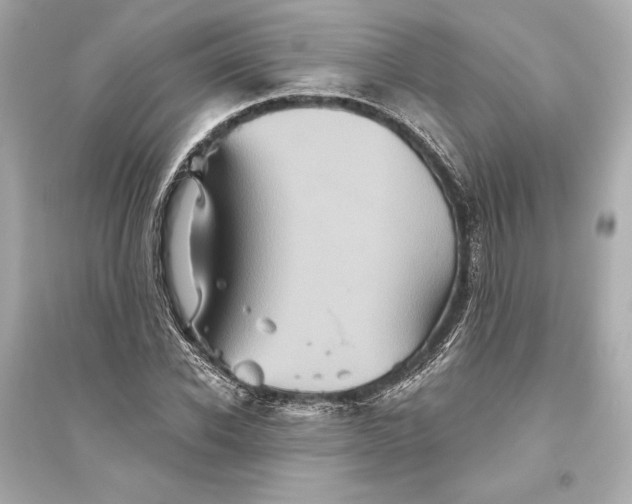 X0000094810926200711301548