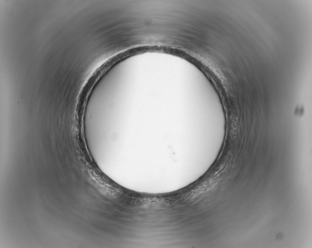 X0000094810927200711301548