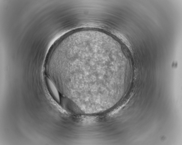 X0000094810928200711301548