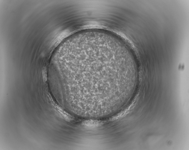 X0000094810929200711301548