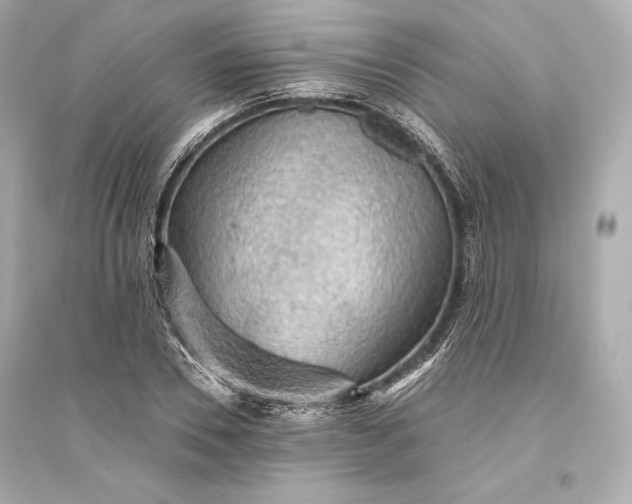 X0000094810930200711301548