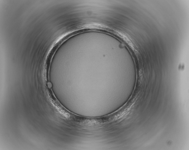 X0000094810931200711301548