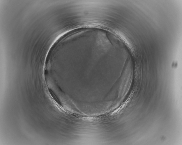 X0000094810932200711301548