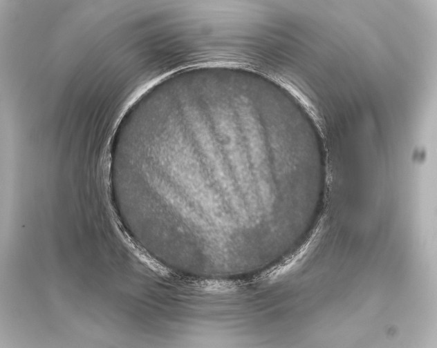 X0000094810933200711301548