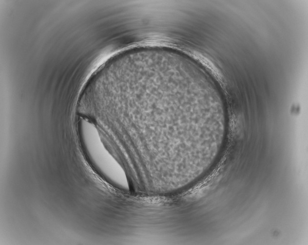 X0000094810934200711301548