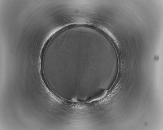 X0000094810935200711301548