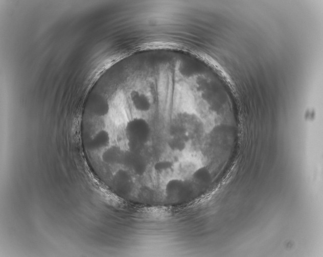 X0000094810937200711301548