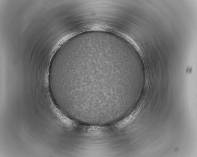 X0000094810938200711301548