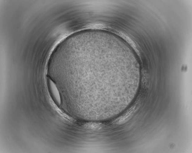 X0000094810939200711301548