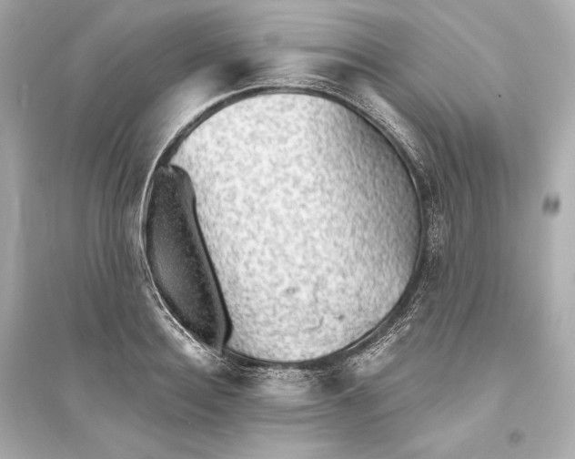 X0000094810940200711301548