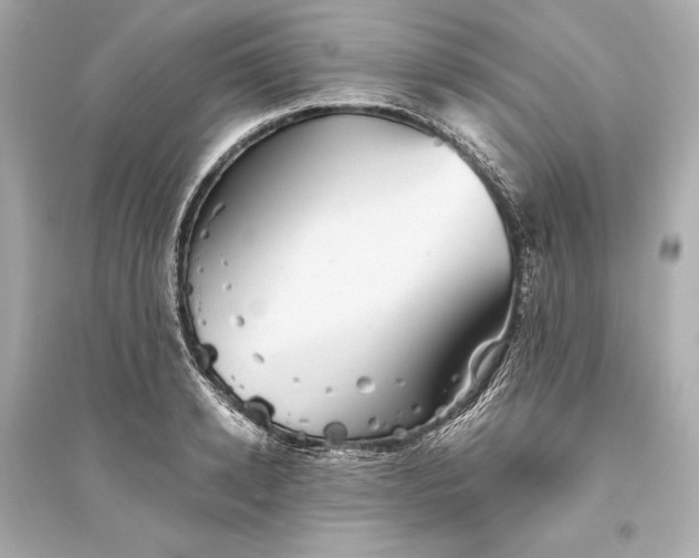 X0000094810942200711301548