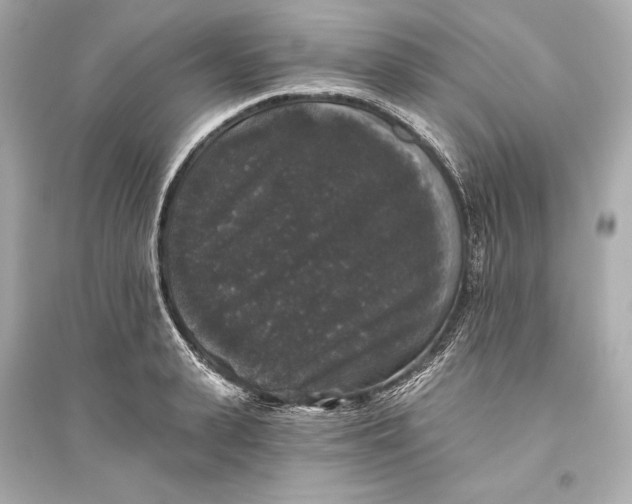 X0000094810943200711301548