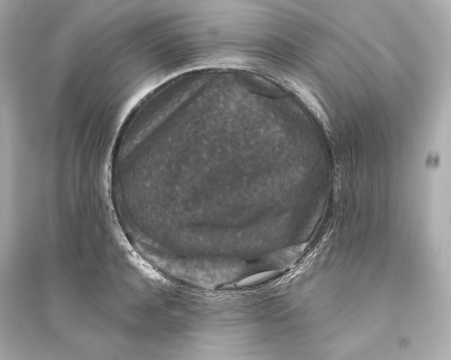 X0000094810944200711301548