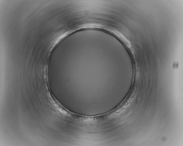 X0000094810945200711301548