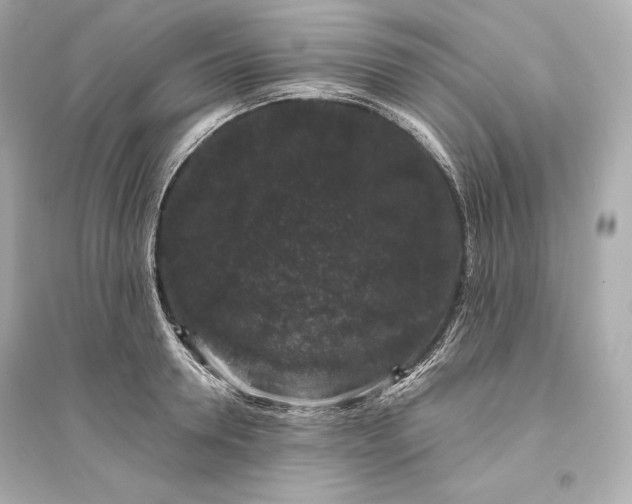 X0000094810946200711301548