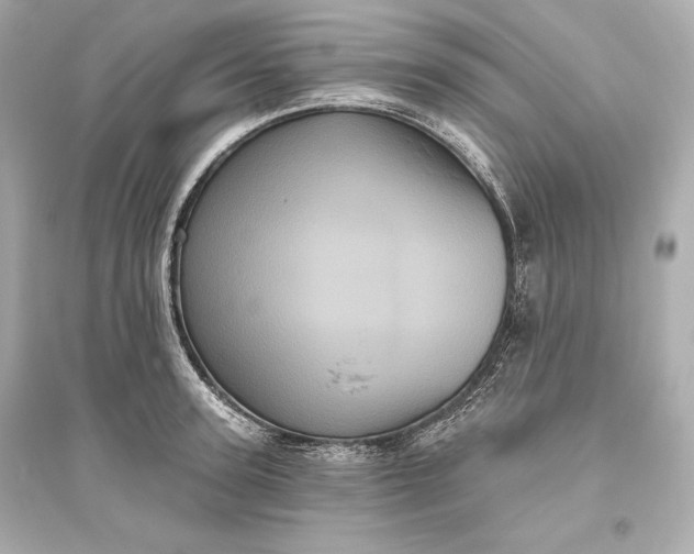 X0000094810947200711301548