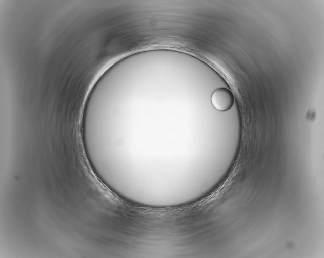 X0000094810948200711301548