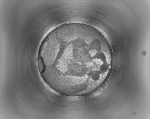 X0000094810949200711301548