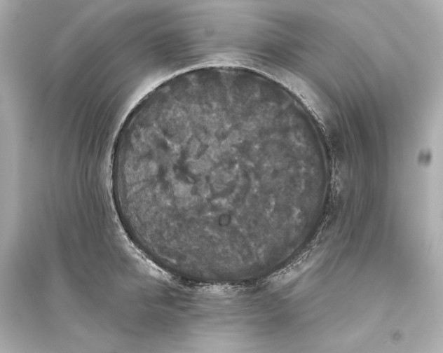 X0000094810950200711301548