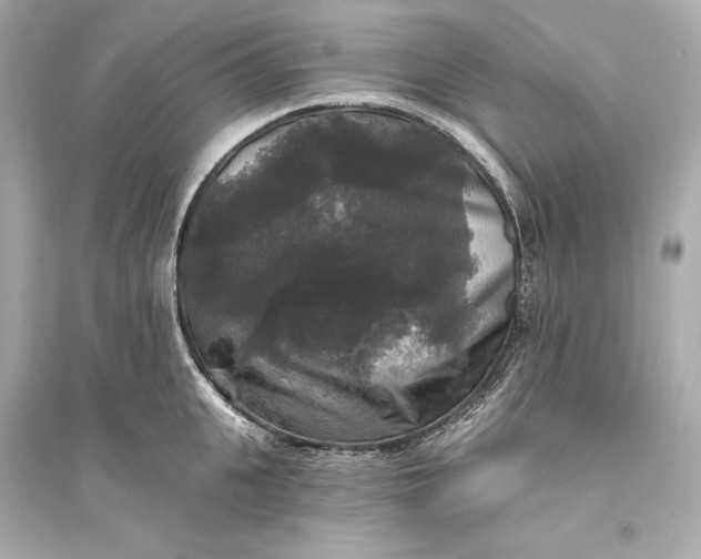 X0000094810951200711301548