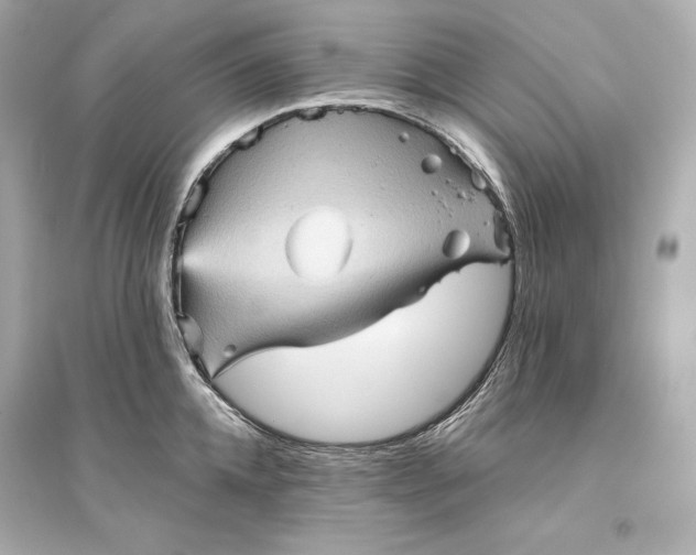 X0000094810952200711301548