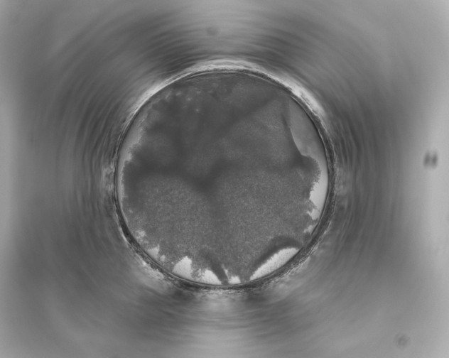 X0000094810953200711301548