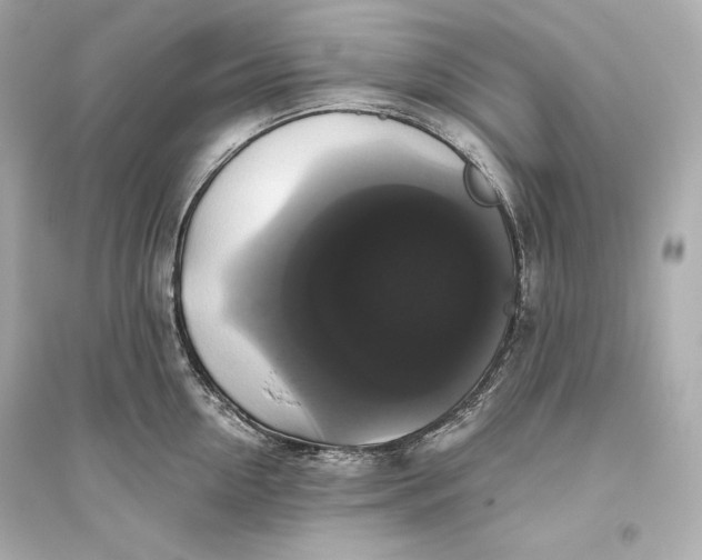 X0000094810954200711301548