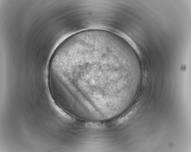 X0000094810955200711301548