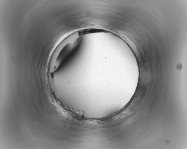 X0000094810956200711301548