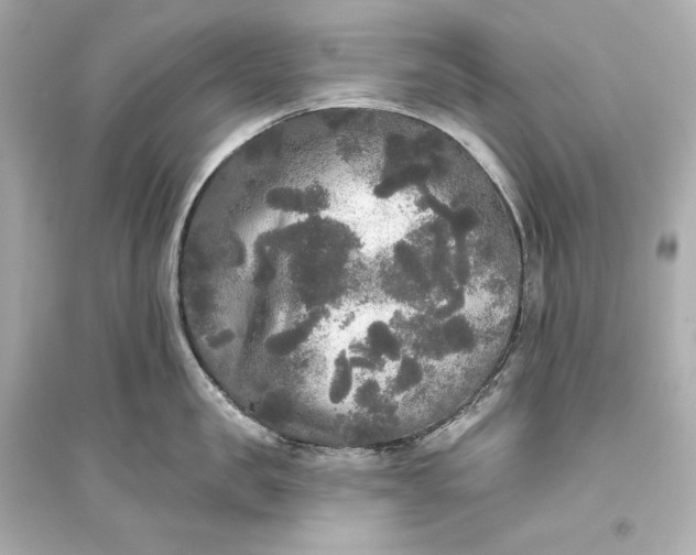 X0000094810957200711301548