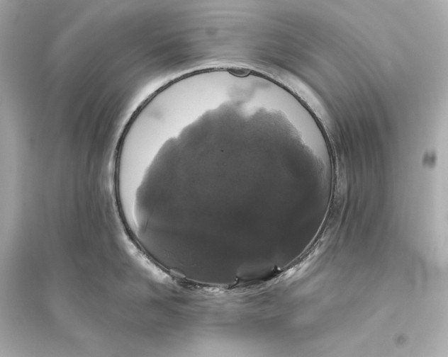 X0000094810958200711301548