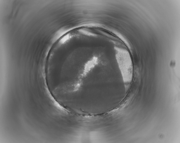 X0000094810959200711301548