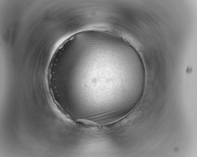 X0000094810960200711301548