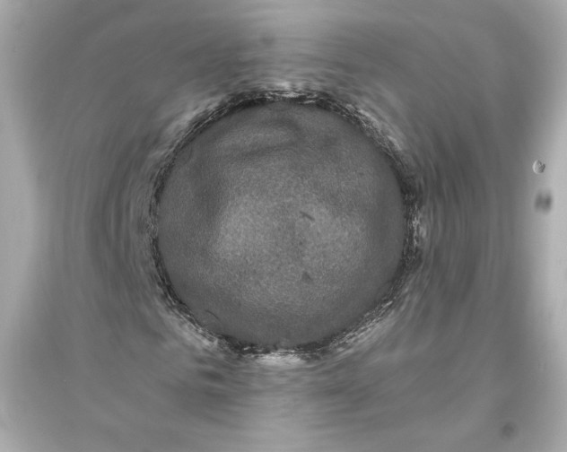 X0000094810961200711301548