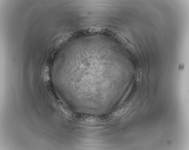 X0000094810962200711301548