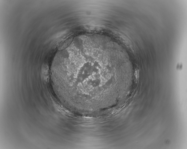 X0000094810963200711301548