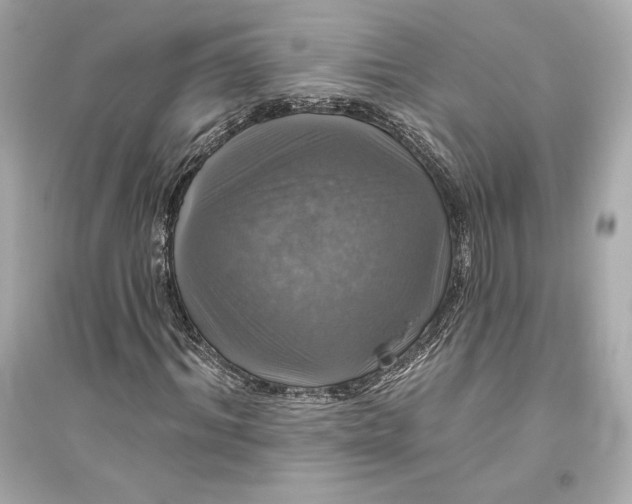 X0000094810964200711301548