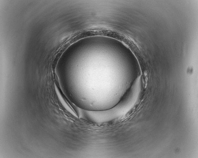 X0000094810965200711301548