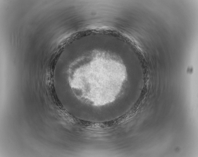 X0000094810966200711301548