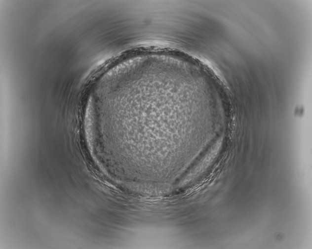 X0000094810967200711301548