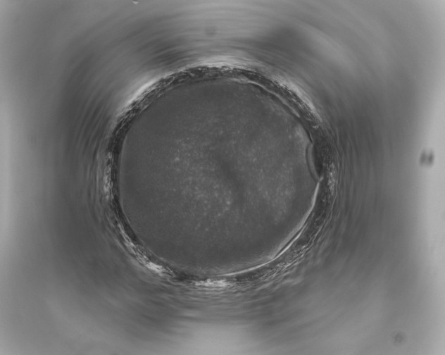 X0000094810968200711301548