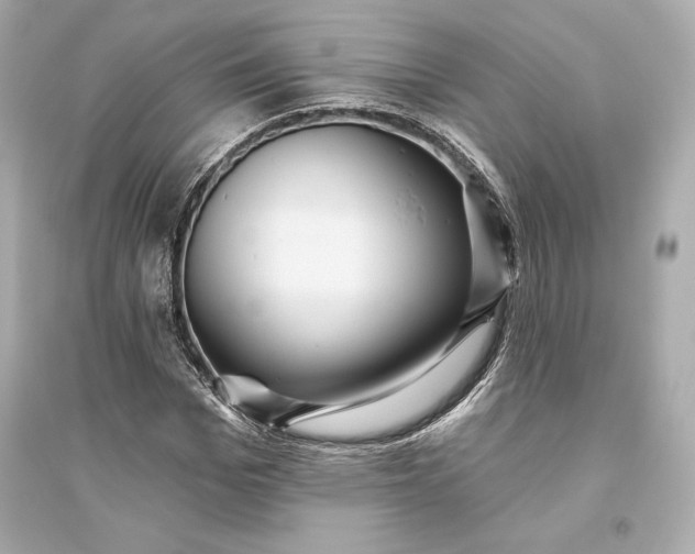 X0000094810969200711301548