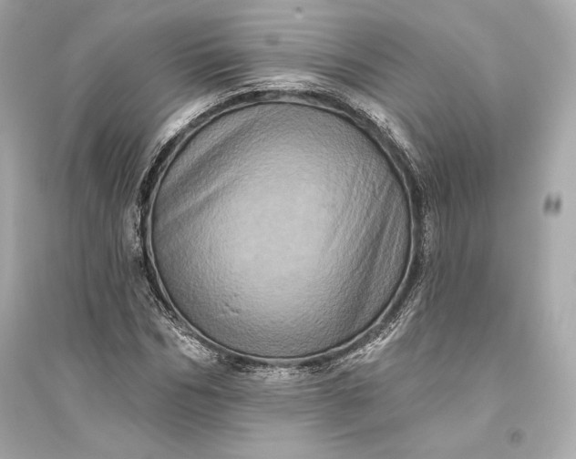 X0000094810970200711301548