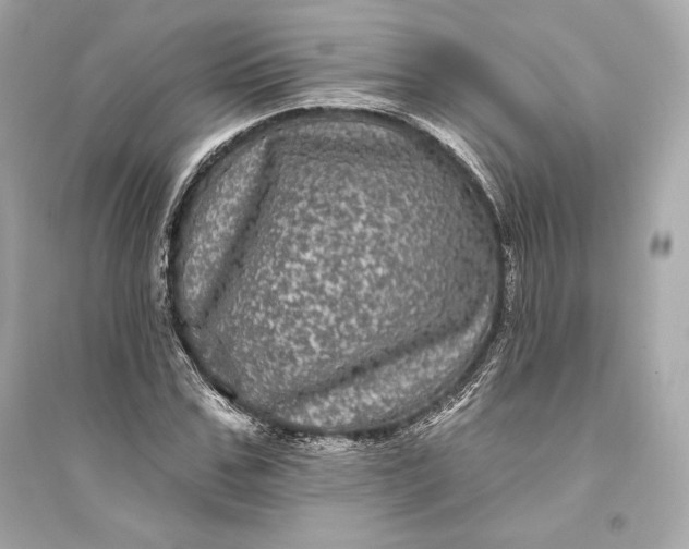 X0000094810971200711301548