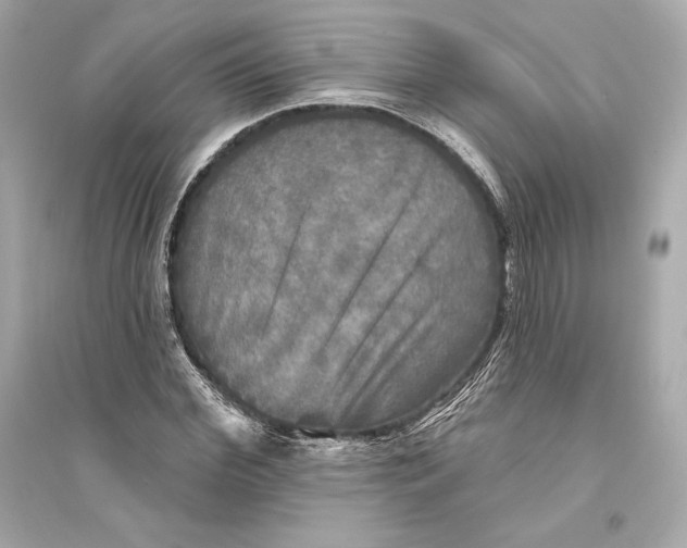 X0000094810972200711301548